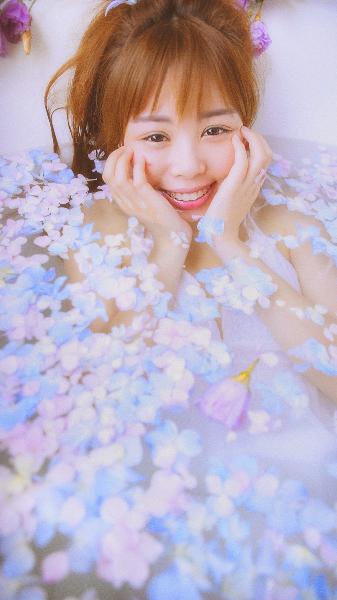 利剑玫瑰电视剧免费观看全集高清